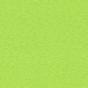 CAMIRA LUCIA T2T YB156