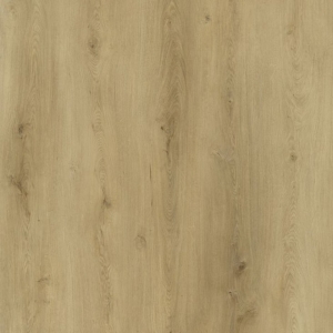 LIBERTY ROCK 55 ACOUSTIC 676814 FAIR