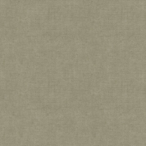 AQUACLEAN MYSTIC 12 VAALEA BETONI