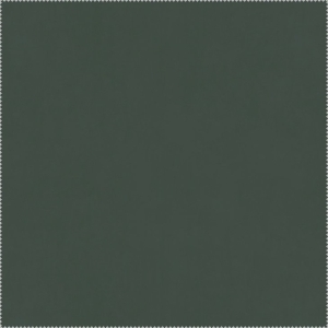 AQUACLEAN CARABU HP FR 156 TUMMAN VIHREÄ